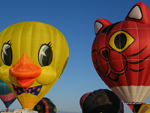 2008 Hot Air Balloon Invitational