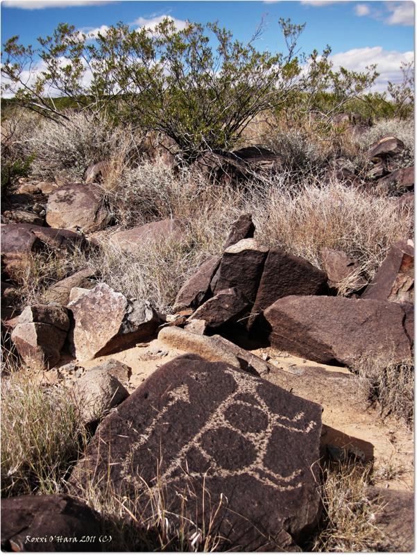 Aardvark Three Rivers Petroglyph Site, New Mexico - Photographer: Roxxi O'Hara