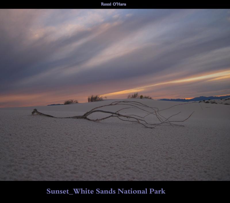 Sunset and Branch, White Sands National Park - Photographer: Roxanna O'Hara