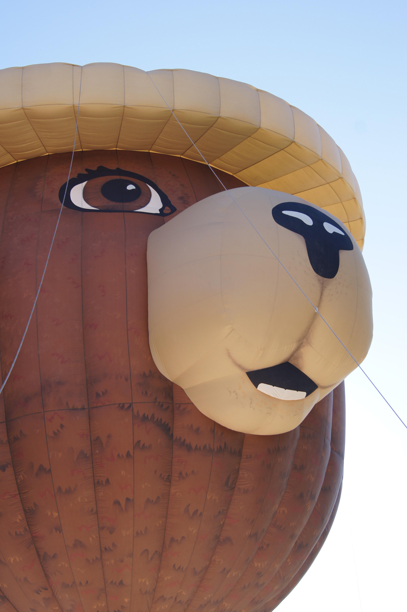Smokey Bear Close-Up. From the 22nd White Sands Hot Air Balloon Invitational - September 21-22, 2013. Elise Haley