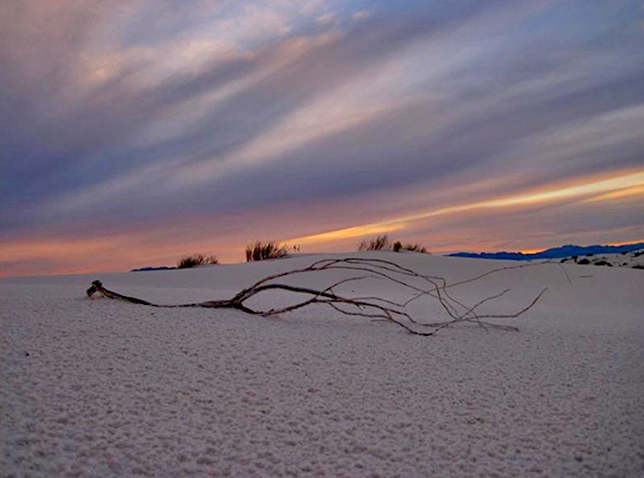SUNSET AND BRANCH - WHITE SANDS NATIONAL PARK